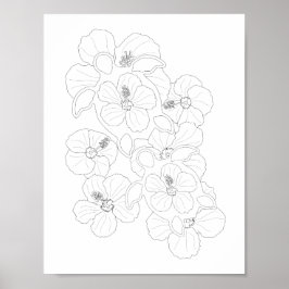 Honu Turtles Adult Coloring Poster