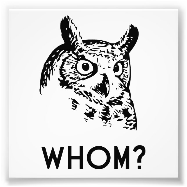Hoo Wer Grammar Owl Fotodruck (Vorne)