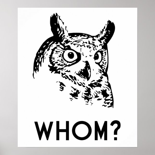 Hoo Wer Grammar Owl Poster (Vorne)
