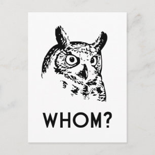 Hoo Wer Grammar Owl Postkarte
