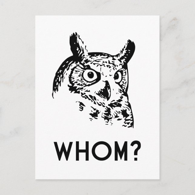 Hoo Wer Grammar Owl Postkarte (Vorderseite)