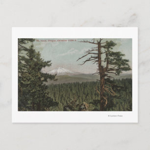 Hood, Oregon - Aussicht auf Berge aus der Ferne Postkarte