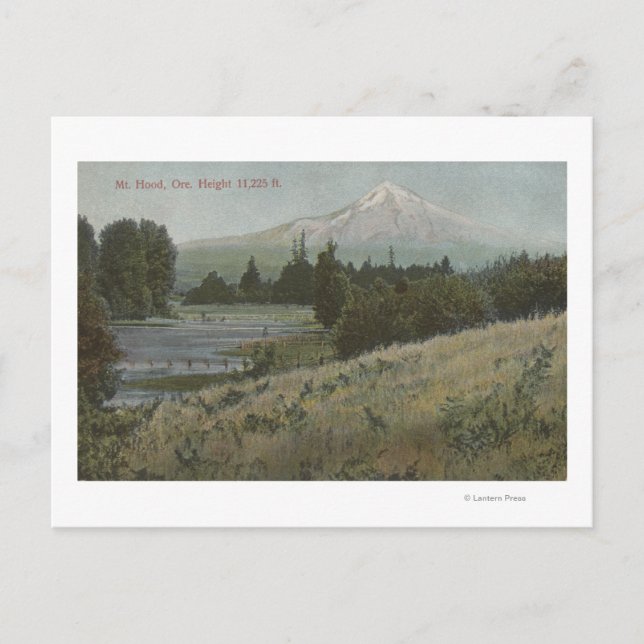 Hood, Oregon - Aussicht auf den Berg von Hood Postkarte (Vorderseite)