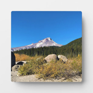 Hood, Oregon Fotoplatte