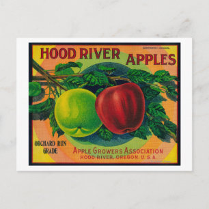 Hood River Apple Crate LabelHood River, OR Postkarte