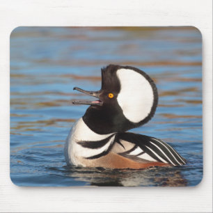 Hooded Merganser Calling Mousepad