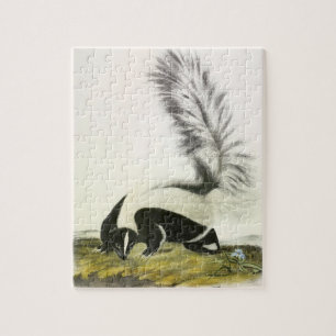 Hooded Skunk oder Großschwanzkunk aus Audubon Puzzle