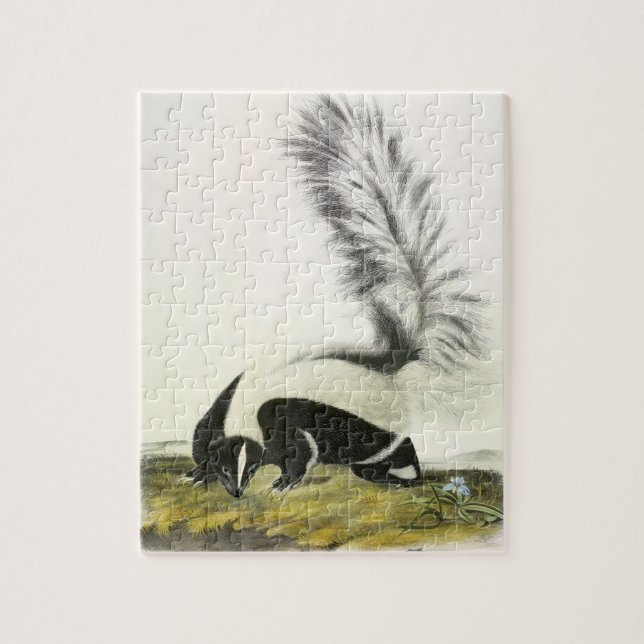 Hooded Skunk oder Großschwanzkunk aus Audubon Puzzle (Vertikal)