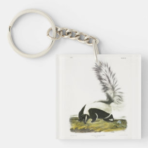 Hooded Skunk oder Großschwanzkunk aus Audubon Schlüsselanhänger