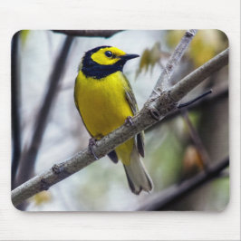 Hooded Warbler Mousepad