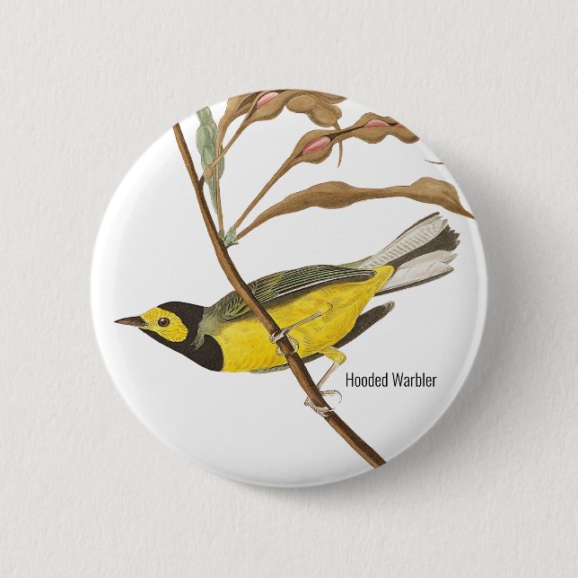 Hooded Warbler von John James Audubon, Vogelbeobac Button (Vorderseite)