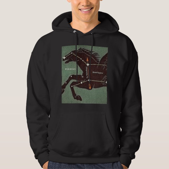 Hoodie (Vorderseite)
