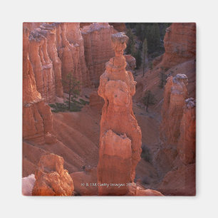 Hoodoo der Hammer des Thors auf Navajo-Spur Magnet