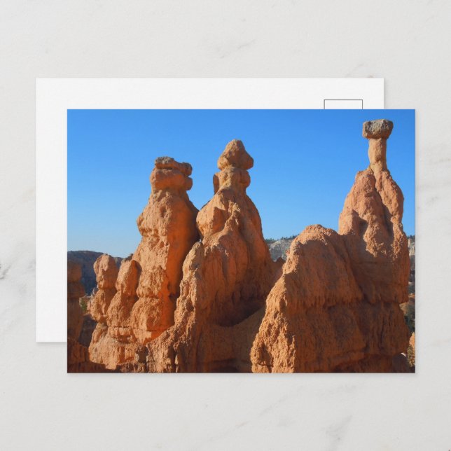 Hoodoos of Bryce Canyon National Park Nature Foto Postkarte (Vorne/Hinten)