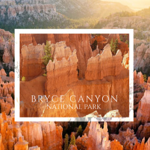 Hoodoos of Bryce Canyon Nationalpark Postcard Postkarte