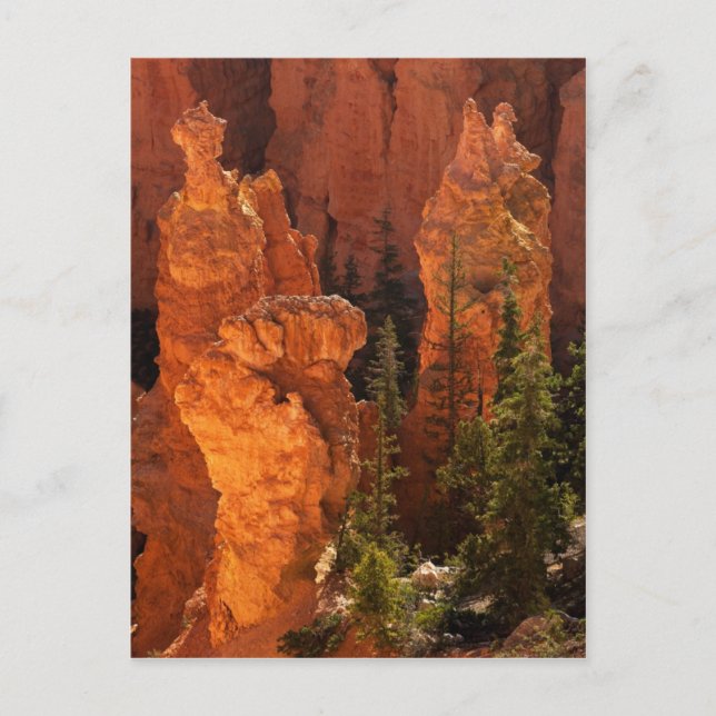 Hoodoos und Goblins Postkarte (Vorderseite)