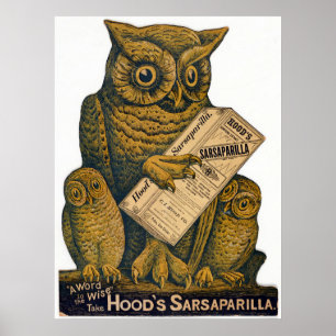 Hood's Sarsaparilla-Erholungstonikum. Poster