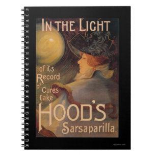 Hood's Sarsaparilla-Werbeplakat Notizblock
