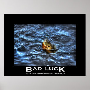 Hooked Bluegill Sun Fish Demotivationspopster Poster