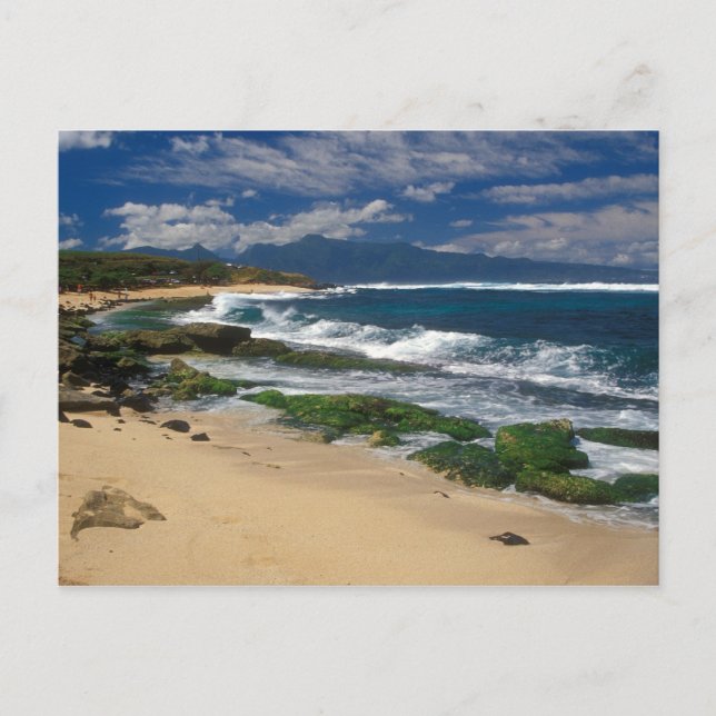 Hookipa Beach Maui Hawaii Postkarte (Vorderseite)