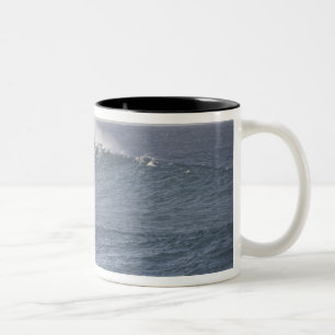 Hookipa Beach Park, Nordküste von Maui, Zweifarbige Tasse