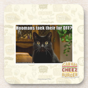 Hoomans Taek dort Pelz WEG? Getränkeuntersetzer
