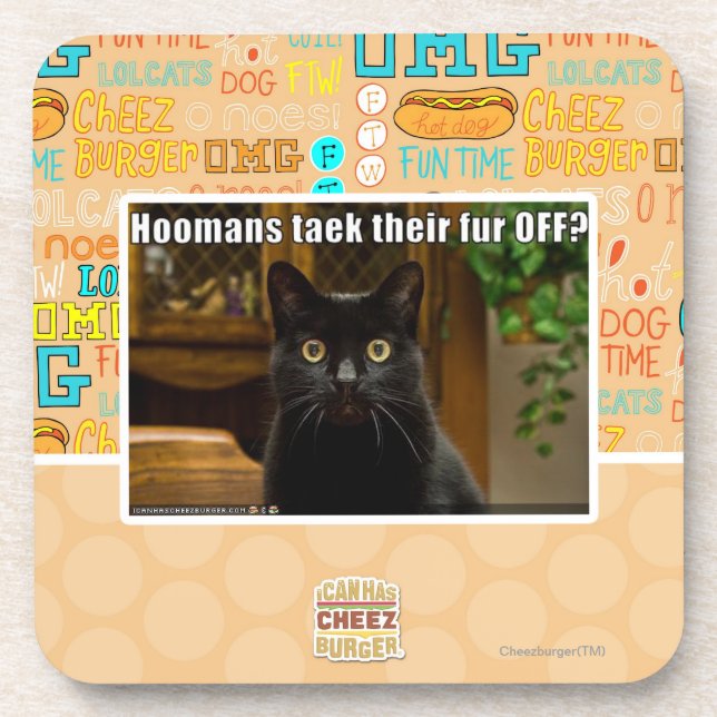 Hoomans Taek dort Pelz WEG? Getränkeuntersetzer (Vorderseite)