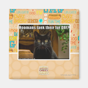 Hoomans Taek dort Pelz WEG? Magnet