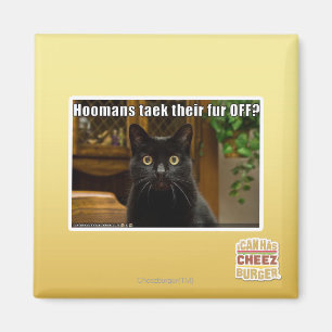 Hoomans Taek dort Pelz WEG? Magnet