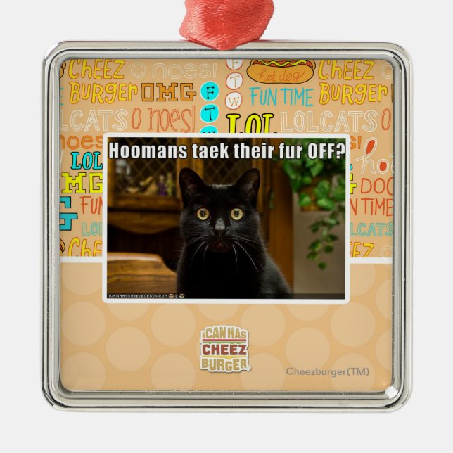 Hoomans Taek dort Pelz WEG? Ornament Aus Metall (Vorne)