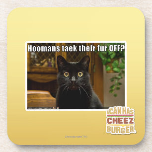 Hoomans Taek dort Pelz WEG? Untersetzer