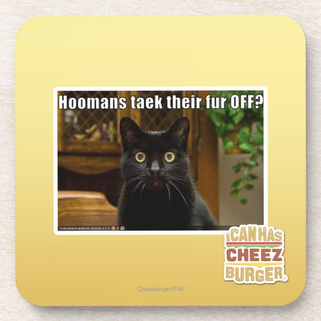 Hoomans Taek dort Pelz WEG? Untersetzer (Vorderseite)