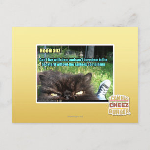 Hoomanz Postkarte