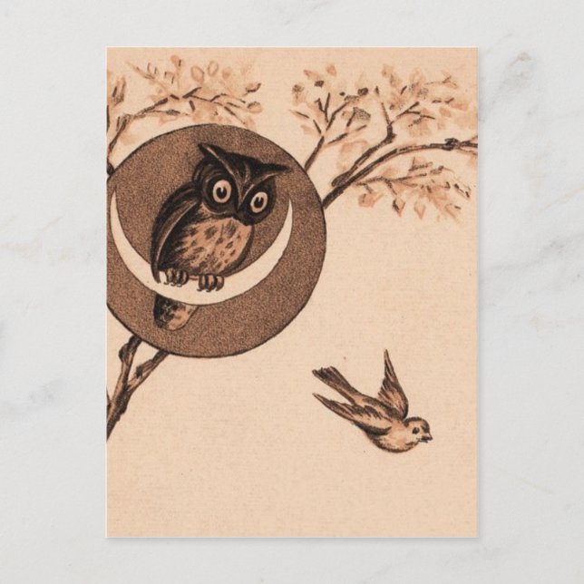 Hoooot! Postkarte (Vorderseite)