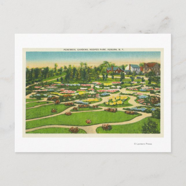 Hoopes Park Perennial Gardens Aussicht Postkarte (Vorderseite)