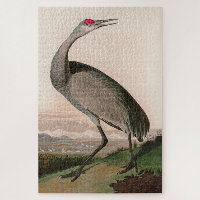 Hooping Crane Birds of America Audubon Print Puzzle (Vertikal)