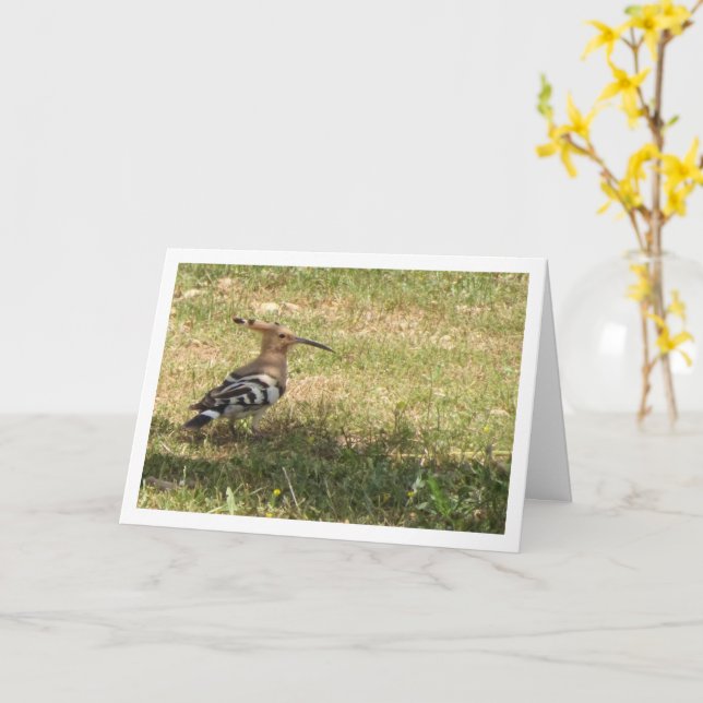 Hoopoe Bird auf Gras Karte (Gelbe Blume)