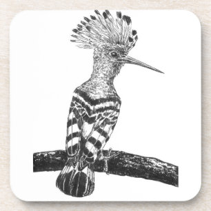 Hoopoe drawing getränkeuntersetzer