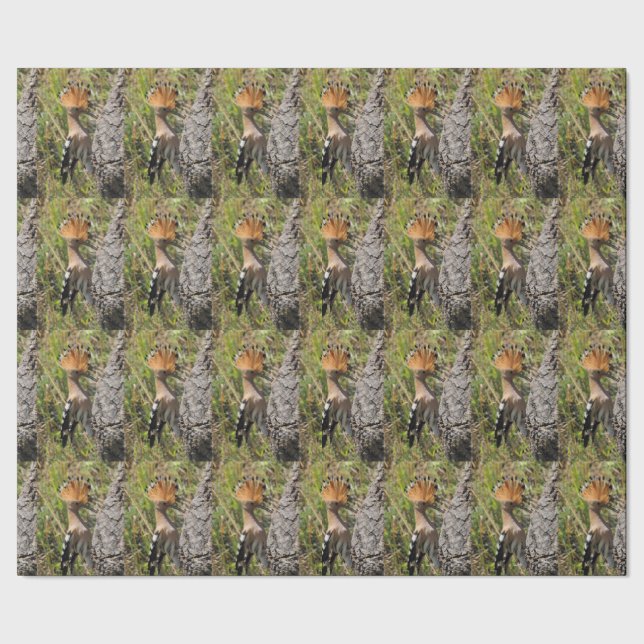 Hoopoe Fütternd Nestling Geschenkpapier (Saum)