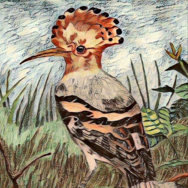 Hoopoe Poster (Von Creator hochgeladen)