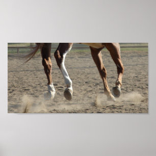 Hooves in Motion Poster