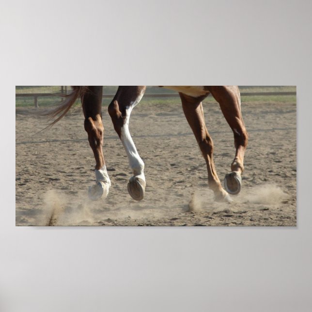 Hooves in Motion Poster (Vorne)