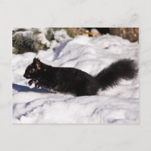 Hop, Skip und ein Sprung Postkarte