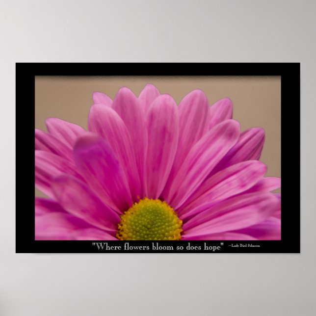 Hope Blooms Pink Gerber Daisy Poster (Vorne)