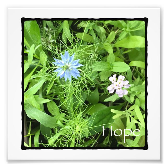 Hope Foto Print (Vorne)