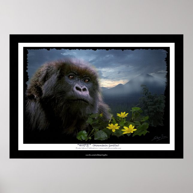 "HOPE" Mountain Gorilla Africa Wildlife Art Poster (Vorne)