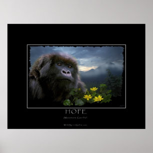 HOPE Mountain Gorilla Wildlife Art Print Poster