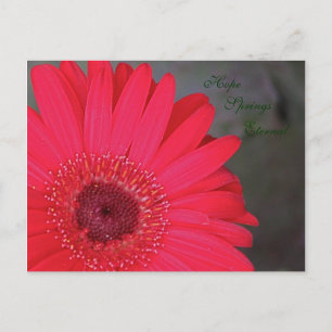 Hope Springs Ewige Postkarte