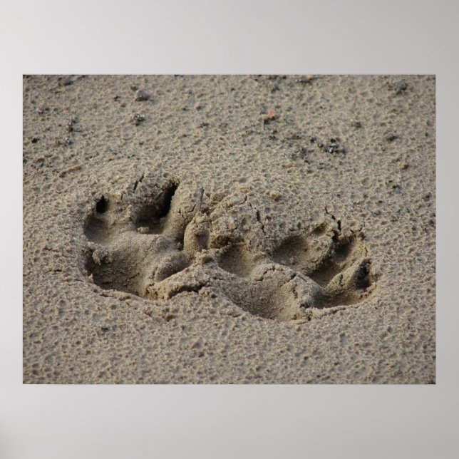Hope's Pawprints in der Sand Gloss Leinwand UV Poster (Vorne)