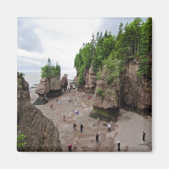 Hopewell Rocks Low Tide Canada Magnet (Vorne)